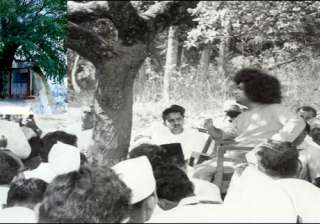 sathya sai baba s kalpavriksha tree collapses -... sathya sai baba s kalpavriksha tree collapses -...