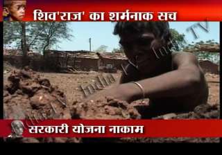 shocking mp children feeding themselves on seeds... shocking mp children feeding themselves on seeds...
