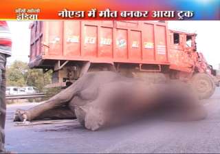 truck crushes elephant to death in noida - India... truck crushes elephant to death in noida - India...