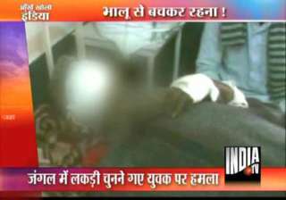 two pilibhit villagers mauled by bear - India TV two pilibhit villagers mauled by bear - India TV