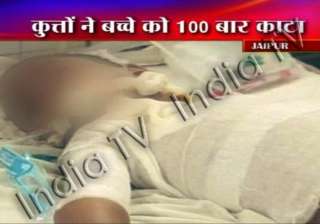 4 stray dogs bite a kid to death - India TV 4 stray dogs bite a kid to death - India TV