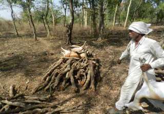 14 deer dead due to heat in dewas district -... 14 deer dead due to heat in dewas district -...