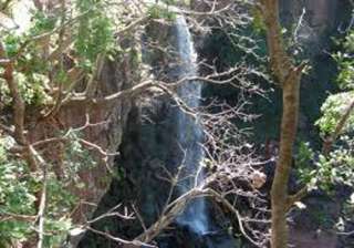4 killed eight injured as tree branch falls on... 4 killed eight injured as tree branch falls on...