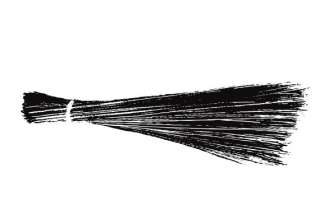 aap officially launches broom as party symbol -... aap officially launches broom as party symbol -...
