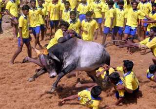 upa dmk govts to blame for including bulls cows... upa dmk govts to blame for including bulls cows...