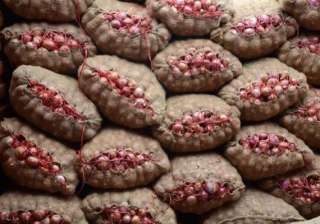 poll panel nod to delhi for onion sale - India TV poll panel nod to delhi for onion sale - India TV