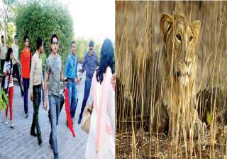god of cricket has a date with lord of gir. -... god of cricket has a date with lord of gir. -...
