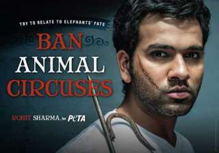 rohit stands up against treatment to circus... rohit stands up against treatment to circus...
