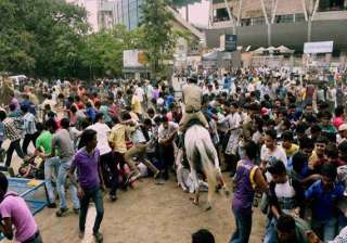 seven injured in eden stampede minister says... seven injured in eden stampede minister says...
