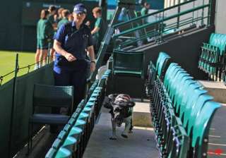 no fly zone in place for wimbledon - India TV no fly zone in place for wimbledon - India TV