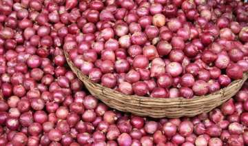 government okays bids for 1k tonnes of onion... government okays bids for 1k tonnes of onion...