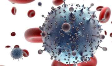 molecule that targets hiv in semen to prevent... molecule that targets hiv in semen to prevent...