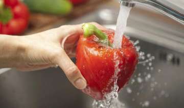 world health day 6 tips to keep your food safe -... world health day 6 tips to keep your food safe -...