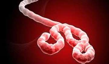 new tool predicts ebola infection risk - India TV new tool predicts ebola infection risk - India TV