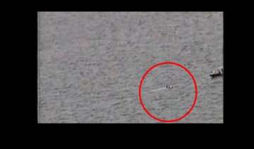plane crashes in bahamas passengers cling to tail... plane crashes in bahamas passengers cling to tail...