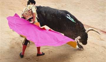 no gorings in final san fermin bull run in spain... no gorings in final san fermin bull run in spain...