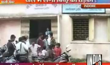 dead scorpion found in mid day meal in indore... dead scorpion found in mid day meal in indore...
