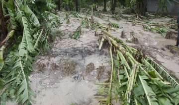 heavy rains damage crops and houses in andhra... heavy rains damage crops and houses in andhra...