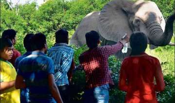 delhi zoo gets record 22 lakh visitors this... delhi zoo gets record 22 lakh visitors this...