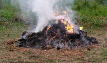 get ready to pay rs 5k fine for burning in open... get ready to pay rs 5k fine for burning in open...