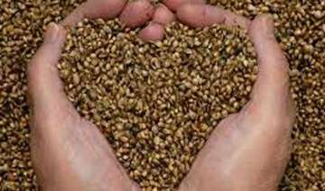 govt to provide free seeds to farmers in... govt to provide free seeds to farmers in...