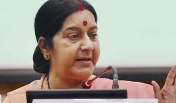 india pitches for anti terror treaty un reforms -... india pitches for anti terror treaty un reforms -...