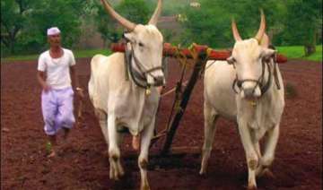 india s real skills challenge 263 million farm... india s real skills challenge 263 million farm...