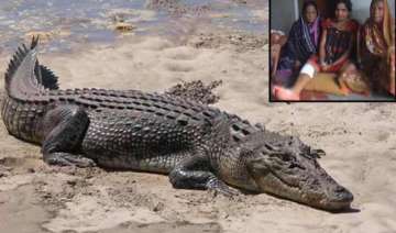 odisha woman wins fight against crocodile just... odisha woman wins fight against crocodile just...