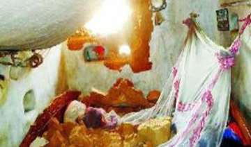 miracle wild elephant smashes house in bengal but... miracle wild elephant smashes house in bengal but...