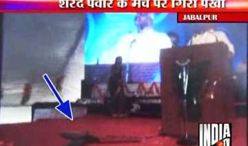 sharad pawar escapes unhurt as ceiling fan falls... sharad pawar escapes unhurt as ceiling fan falls...