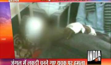 two pilibhit villagers mauled by bear - India TV two pilibhit villagers mauled by bear - India TV