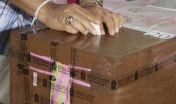 80 per cent voting in crucial ap by polls - India... 80 per cent voting in crucial ap by polls - India...