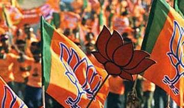 bjp to get majority in delhi elections opinion... bjp to get majority in delhi elections opinion...