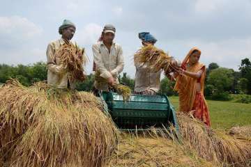 Farm loan waivers have become the latest cause of... Farm loan waivers have become the latest cause of...