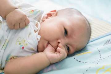 babies in vitro fertilisation babies in vitro fertilisation
