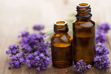 essential oils beauty uses essential oils beauty uses