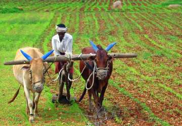 Karnataka waives crop loans up to Rs 50,000 for... Karnataka waives crop loans up to Rs 50,000 for...