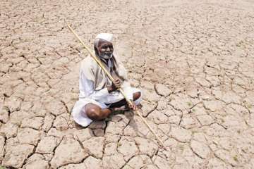 Representational picture:Centre approves Rs 795... Representational picture:Centre approves Rs 795...