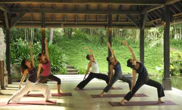 yoga yoga