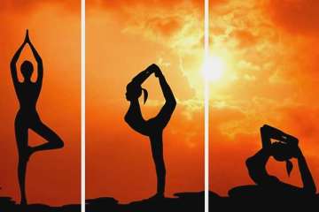 Do yoga everyday - India TV Do yoga everyday - India TV