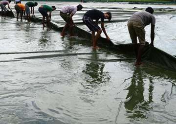 A file image of Sri Lanka groundstaff. - India TV A file image of Sri Lanka groundstaff. - India TV