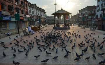 BJP mulling changes in Article 35A on... BJP mulling changes in Article 35A on...