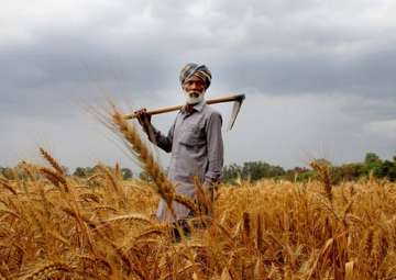 Agriculture sector didn't see reforms for 25... Agriculture sector didn't see reforms for 25...
