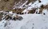 Avalanche hits Army in Himachal: 6 jawans feared dead,
