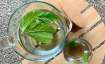 10 health benefits of mint leaves, Pudina benefits, mint leaves,mint leaves benefits, mint leaves cu