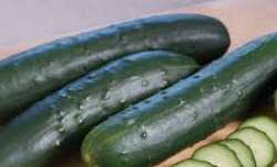  8 expert ways to beat the heat with cucumber 