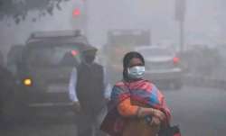 Food that helps build resistance against air pollution