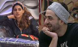Bigg Boss 14 December 22 LIVE Updates: Will Nikki Tamboli confess her feelings for Aly Goni?