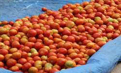 tomato, tomato price