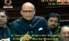 bjp had supported constitutional status but voted against